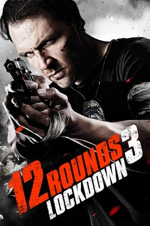 12 Rounds 3 Lockdown 2015 Hindi Dual Audio 300MB 12 Rounds 3 Lockdown 2015 Hindi Dual Audio 300MB