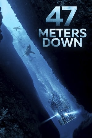 47 Metres Down (2017) Hindi Dual Audio 300MB 47 Metres Down (2017) Hindi Dual Audio 300MB