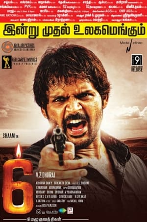6 Candles (2013) Hindi Dubbed 350MB 6 Candles (2013) Hindi Dubbed 350MB