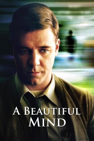 A Beautiful Mind 2001 Hindi Dual Audio 450MB A Beautiful Mind 2001 Hindi Dual Audio 450MB