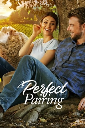 A Perfect Pairing (2022) Hindi Dual Audio – A Perfect Pairing (2022) Hindi Dual Audio –