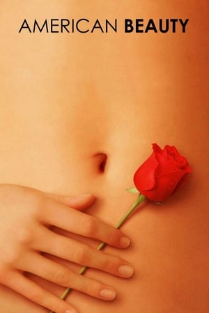 American Beauty 1999 Hindi Dual Audio American Beauty 1999 Hindi Dual Audio