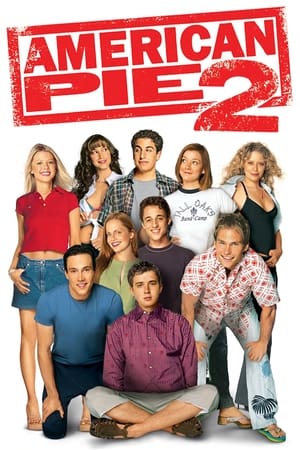 American Pie 2 (2001) Hindi Dual Audio 375MB American Pie 2 (2001) Hindi Dual Audio 375MB