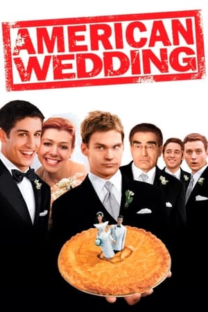 American Wedding (2003) Hindi Dual Audio 300MB American Wedding (2003) Hindi Dual Audio 300MB
