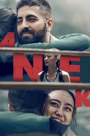 Anek 2022 Hindi Movie – Anek 2022 Hindi Movie –