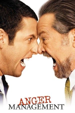 Anger Management (2003) Hindi Dual Audio – Anger Management (2003) Hindi Dual Audio –