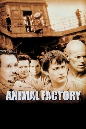 Animal Factory (2000) Hindi Dual Audio 300MB Animal Factory (2000) Hindi Dual Audio 300MB