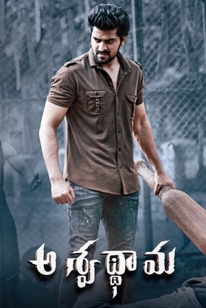 Aswathama 2020 (Hindi – Telugu) Dual Audio 340MB Aswathama 2020 (Hindi – Telugu) Dual Audio 340MB