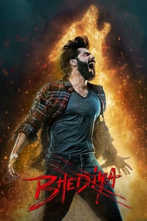 Bhediya 2022 Hindi Movie Pre- – Bhediya 2022 Hindi Movie Pre- –