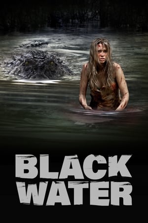 Black Water (2007) Hindi Dual Audio 300MB Black Water (2007) Hindi Dual Audio 300MB