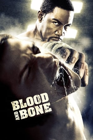Blood and Bone (2009) Hindi Dual Audio 300MB Blood and Bone (2009) Hindi Dual Audio 300MB