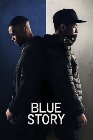 Blue Story (2019) Hindi Dual Audio – Blue Story (2019) Hindi Dual Audio –