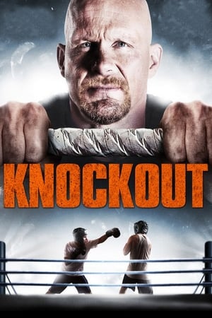 Born to Fight 2011 Hindi Dual Audio 300MB Born to Fight 2011 Hindi Dual Audio 300MB