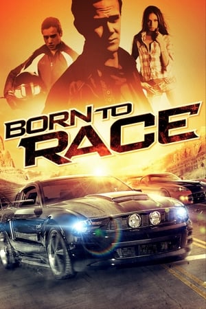 Born to Race 2011 Hindi Dual Audio 300MB Born to Race 2011 Hindi Dual Audio 300MB