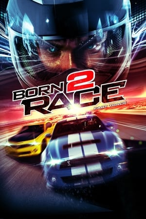 Born to Race Fast Track 2014 Hindi Dual Audio 320MB Born to Race Fast Track 2014 Hindi Dual Audio 320MB