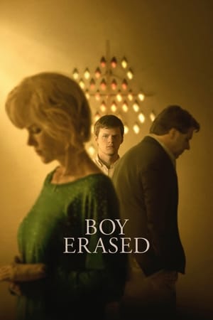 Boy Erased (2018) Hindi Dual Audio 380MB Boy Erased (2018) Hindi Dual Audio 380MB