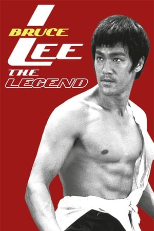 Bruce Lee the Legend 1984 Hindi Dual Audio HDTVRip 300MB Bruce Lee the Legend 1984 Hindi Dual Audio HDTVRip 300MB