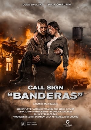 Call Sign Banderas (2018) Hindi Dual Audio – Call Sign Banderas (2018) Hindi Dual Audio –