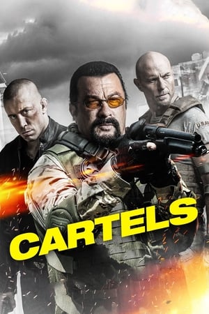 Cartels 2017 Hindi Dual Audio 300MB Cartels 2017 Hindi Dual Audio 300MB