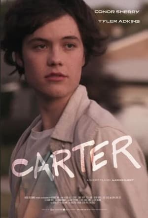 Carter (2022) Hindi Dual Audio – Carter (2022) Hindi Dual Audio –