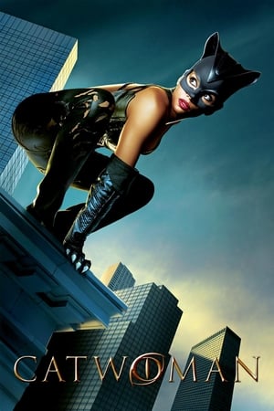 Catwoman (2004) Hindi Dual Audio 400MB Catwoman (2004) Hindi Dual Audio 400MB