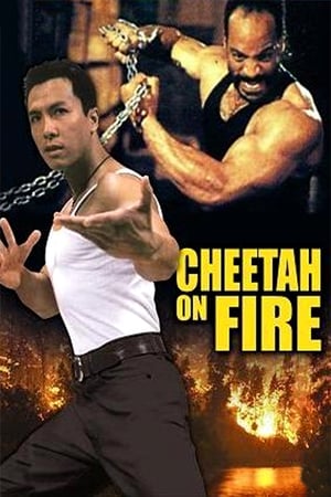 Cheetah on Fire 1992 Hindi Dual Audio 290MB Cheetah on Fire 1992 Hindi Dual Audio 290MB