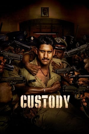 Custody 2023 Hindi (HQ-Dub) Dual Audio – Custody 2023 Hindi (HQ-Dub) Dual Audio –