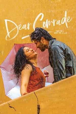 Dear Comrade 2019 (Hindi - Telugu) Dual Audio 450MB Dear Comrade 2019 (Hindi - Telugu) Dual Audio 450MB