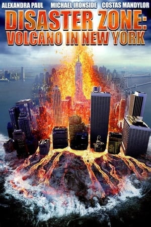 Disaster Zone Volcano in New York 2006 Hindi Dual Audio 300MB Disaster Zone Volcano in New York 2006 Hindi Dual Audio 300MB