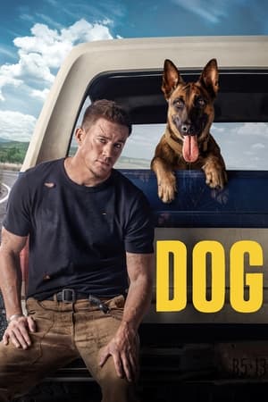 Dog (2022) Hindi Dual Audio – Dog (2022) Hindi Dual Audio –