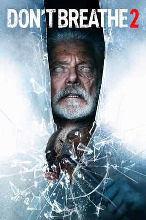 Don’t Breathe 2 (2021) Hindi Dual Audio 400MB Don’t Breathe 2 (2021) Hindi Dual Audio 400MB