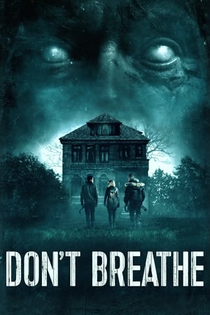 Don't Breathe (2016) Hindi Dual Audio 300MB Don't Breathe (2016) Hindi Dual Audio 300MB