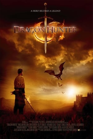 Dragon Hunter (2009) Hindi Dual Audio 300MB Dragon Hunter (2009) Hindi Dual Audio 300MB