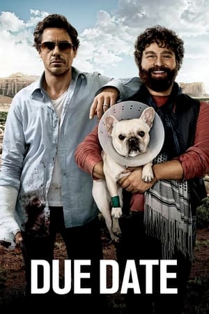 Due Date (2010) Hindi Dual Audio 300MB Due Date (2010) Hindi Dual Audio 300MB
