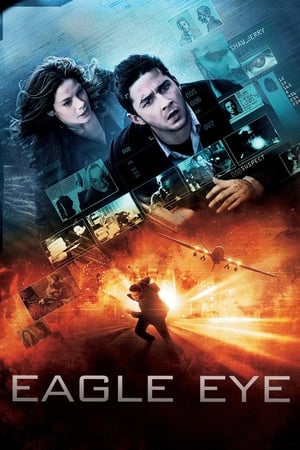 Eagle Eye (2008) Hindi Dual Audio 330MB ESubs Eagle Eye (2008) Hindi Dual Audio 330MB ESubs
