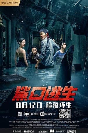Escape of Shark (2021) Hindi Dual Audio – Escape of Shark (2021) Hindi Dual Audio –