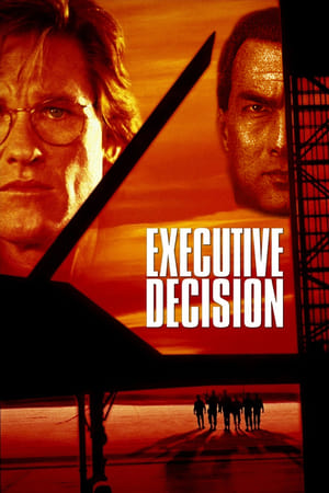 Executive Decision (1996) Hindi Dual Audio 400MB Executive Decision (1996) Hindi Dual Audio 400MB