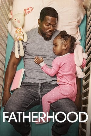 Fatherhood (2021) Hindi Dual Audio 350MB Fatherhood (2021) Hindi Dual Audio 350MB