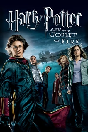 Fire & Ice (2008) Hindi Dual Audio 300MB Fire & Ice (2008) Hindi Dual Audio 300MB
