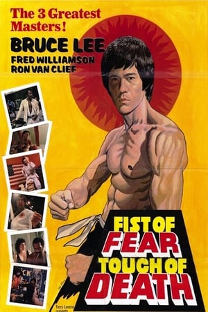 Fist of Fear Touch of Death 1980 Hindi Dual Audio 300MB Fist of Fear Touch of Death 1980 Hindi Dual Audio 300MB