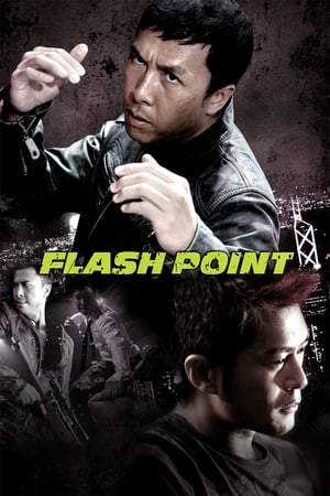 Flash Point (2007) Hindi Dual Audio 300MB Flash Point (2007) Hindi Dual Audio 300MB