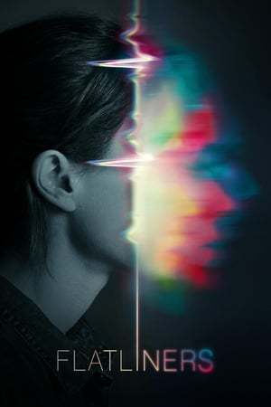 Flatliners (2017) Hindi Dual Audio – Flatliners (2017) Hindi Dual Audio –