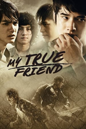 Friends Never Die (2012) Hindi dual Audio 340MB Friends Never Die (2012) Hindi dual Audio 340MB