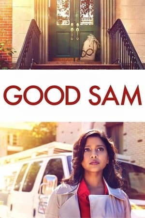 Good Sam 2019 Hindi Dual Audio 300MB Good Sam 2019 Hindi Dual Audio 300MB