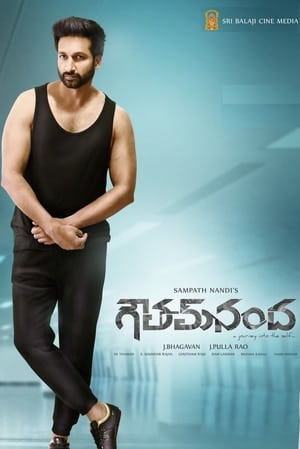Goutham Nanda (2017) (Hindi – Telugu) Dual Audio – Goutham Nanda (2017) (Hindi – Telugu) Dual Audio –