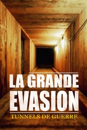 GREAT ESCAPE (2018) Hindi Dubbed 450MB GREAT ESCAPE (2018) Hindi Dubbed 450MB