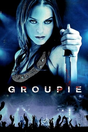 Groupie (2010) Hindi Dual Audio 300MB Groupie (2010) Hindi Dual Audio 300MB