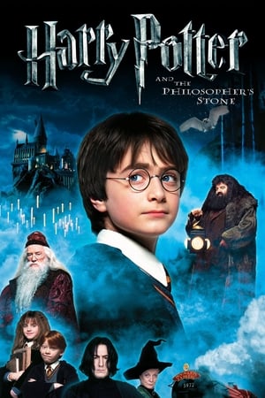 Harry Potter and the Sorcerer's Stone 2001 Hindi Dual Audio Harry Potter and the Sorcerer's Stone 2001 Hindi Dual Audio
