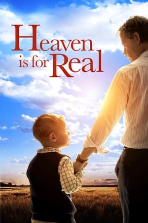 Heaven Is for Real (2014) Hindi Dual Audio 300MB Heaven Is for Real (2014) Hindi Dual Audio 300MB