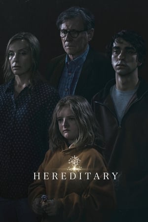 Hereditary 2018 Hindi Dual Audio – Hereditary 2018 Hindi Dual Audio –